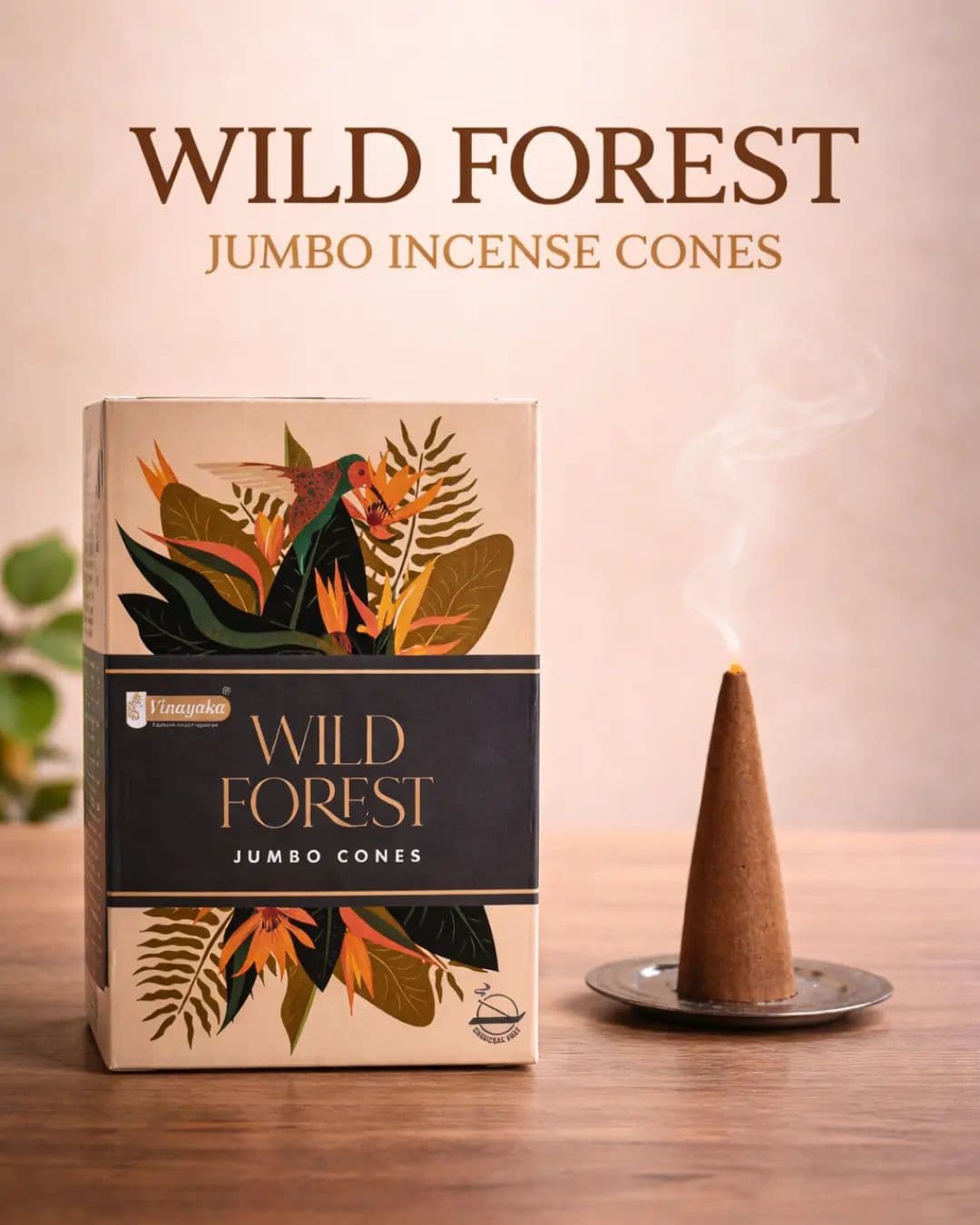 Wild Forest ๐ฟ